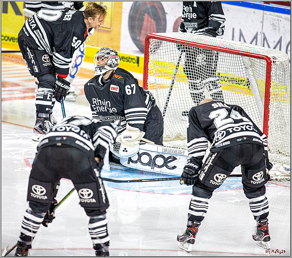 DEL; Koelner Haie - Krefeld Pinuguine; Koeln, 24.11.2019